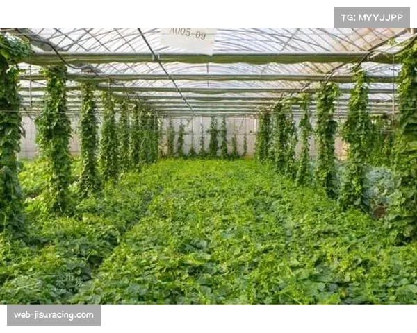 棒球场与农场携手合作 推动有机食品供应助力健康生活